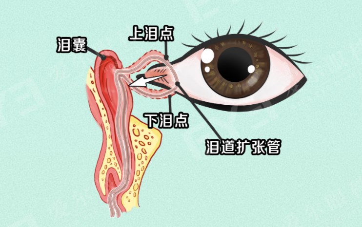 圖片.png 圖片.png