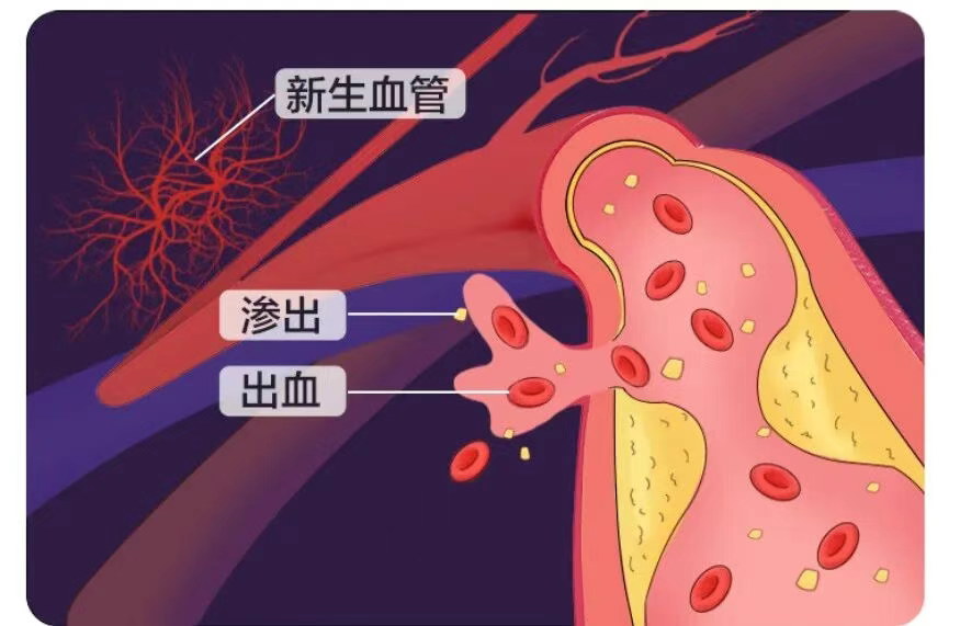 圖片.png 圖片.png